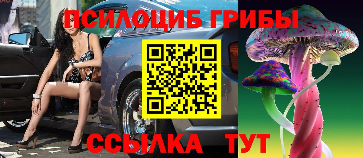 Галлюциногенные грибы Psilocybine cubensis  Вход с VPN  Ревда 